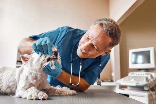 Best Emergency Tooth Extraction in Chattahoochee, FL